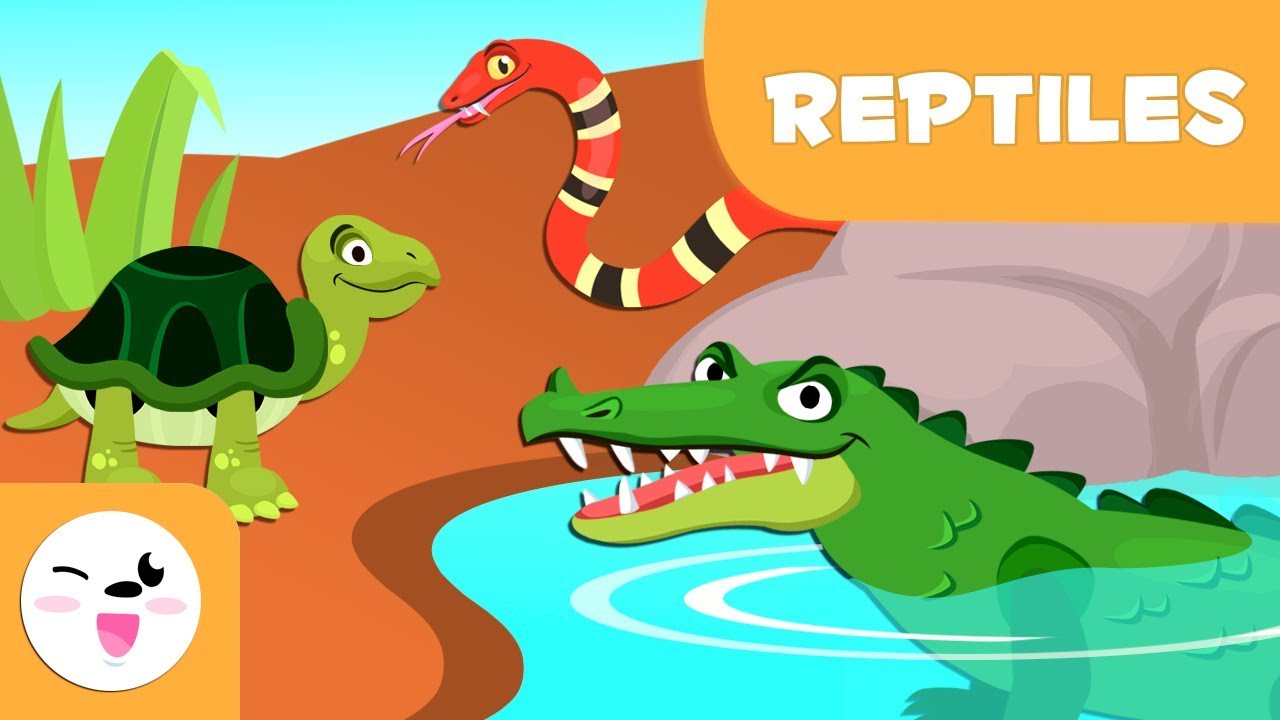 reptiles